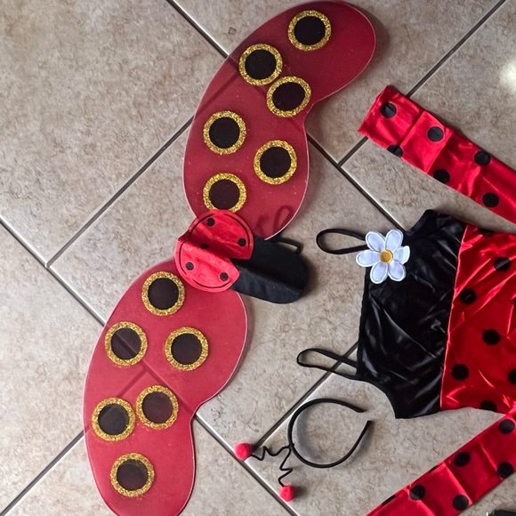 Ladybug Costume - Picture 4 of 5